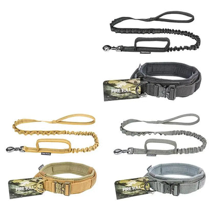Tactical collar hardware detail