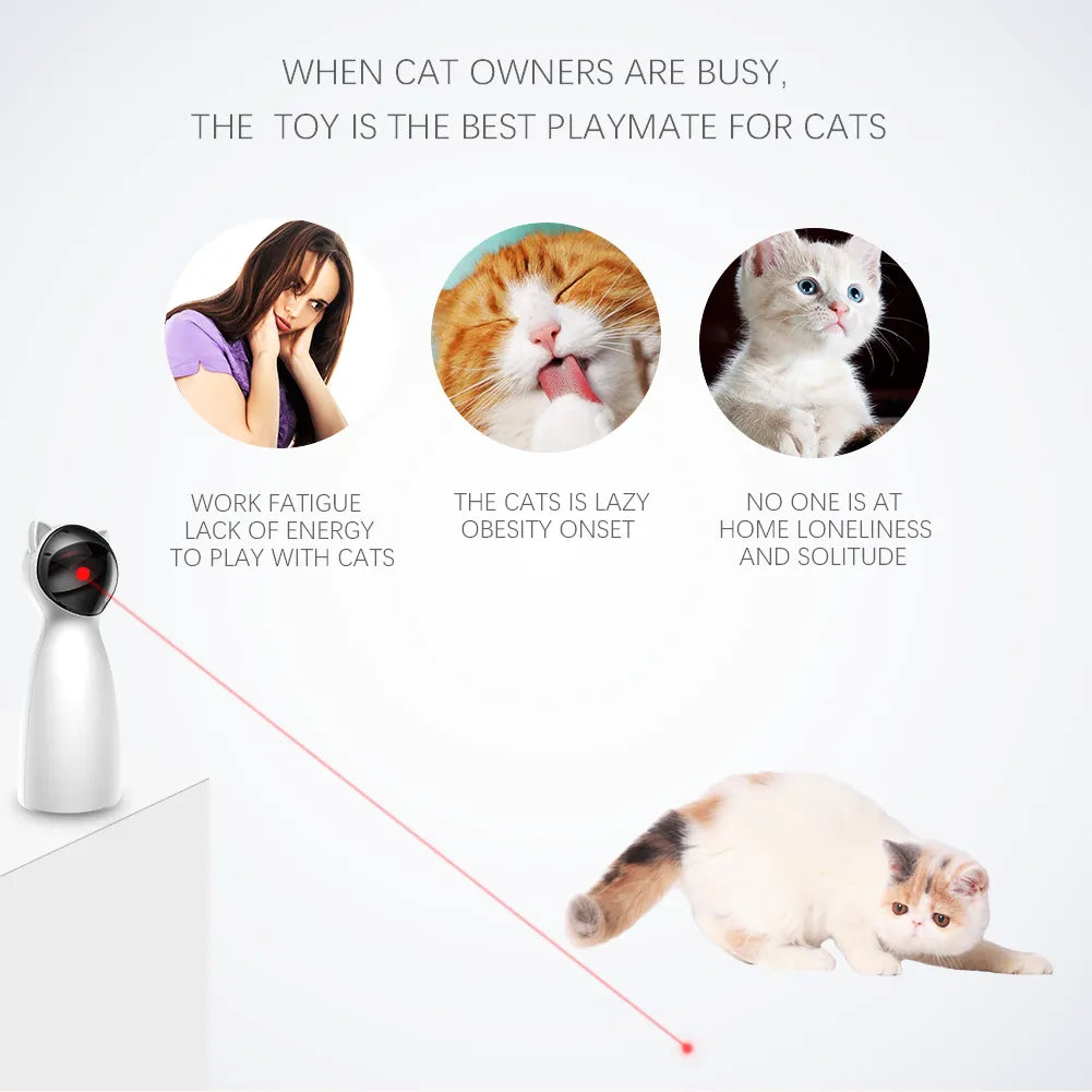 Cat chasing laser toy