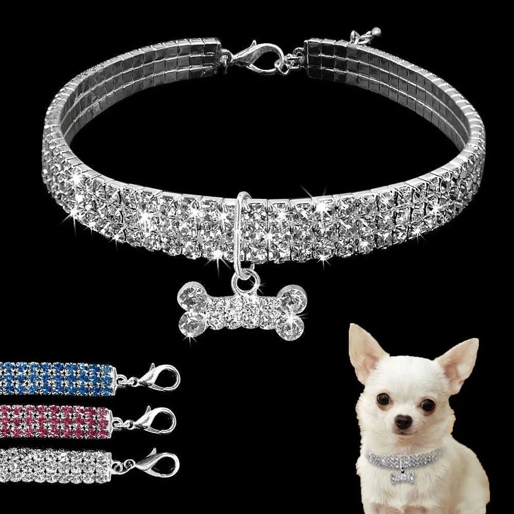 Dog wearing rhinestone collar