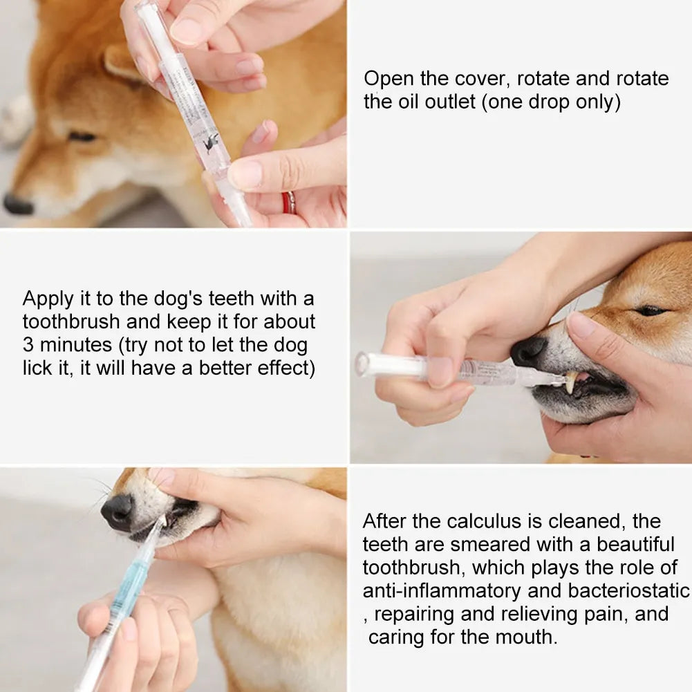 Using dental pen on dog teeth