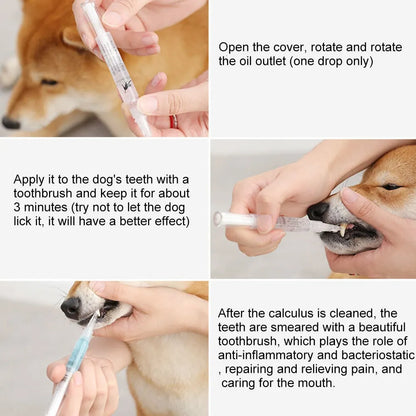 Using dental pen on dog teeth