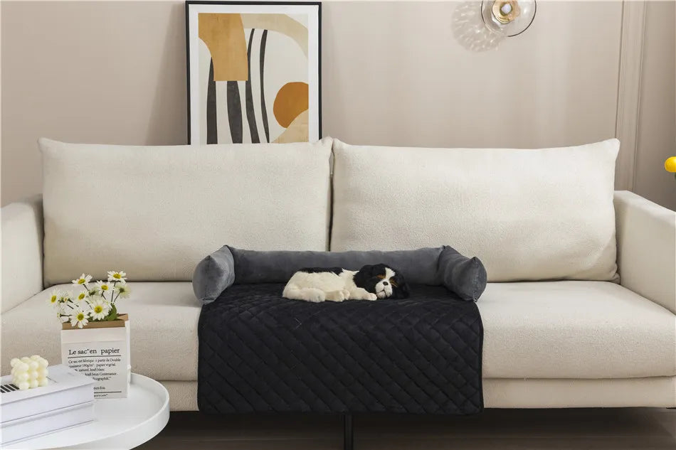 Dog resting on plush sofa bed