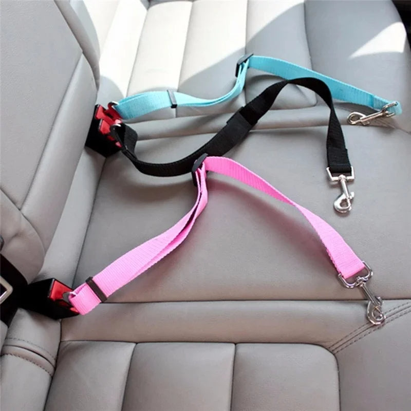 Car seat belt in use