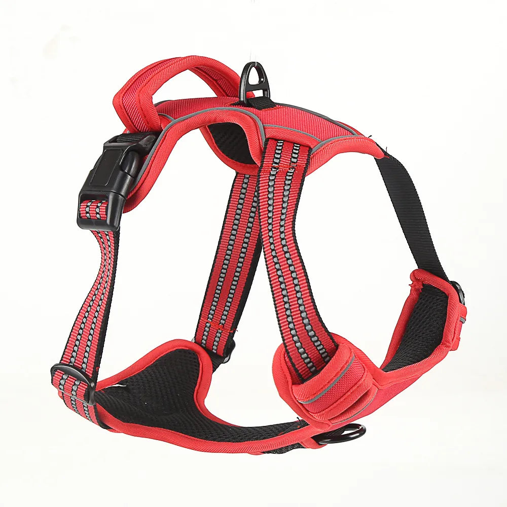 Dog Harness detail view