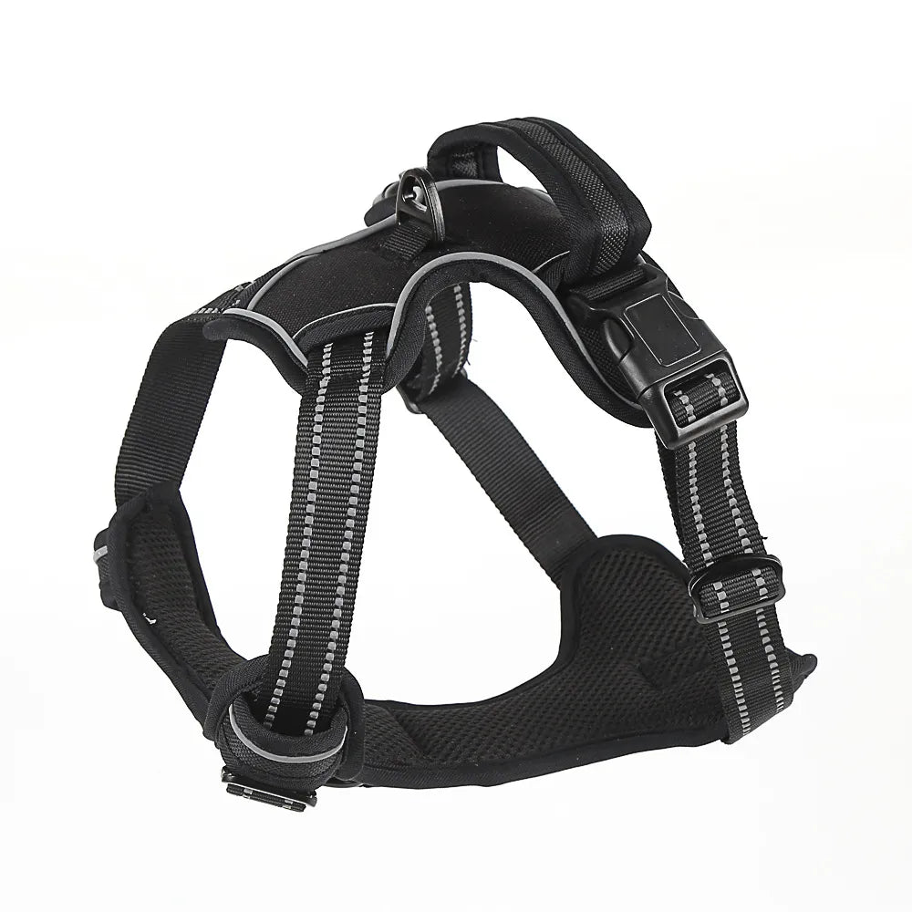 Dog wearing no-pull harness