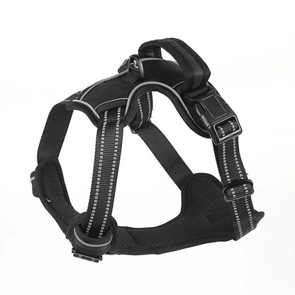 Dog wearing no-pull harness