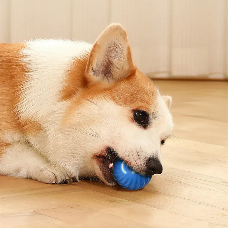Bite-Resistant Rubber Chew Ball
