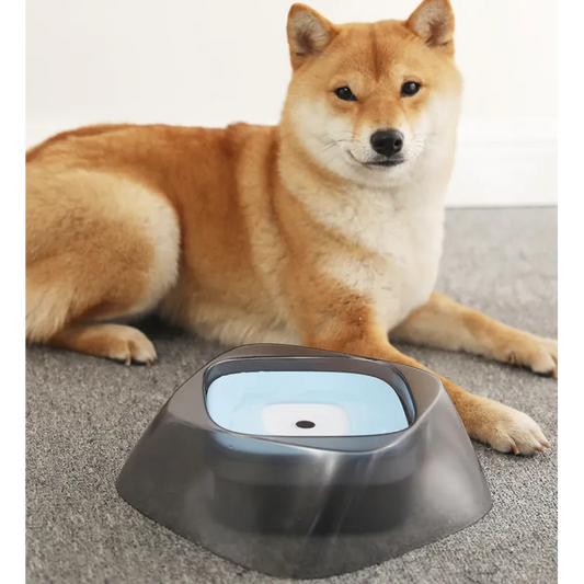 No-Spill Floating Travel Pet Bowl