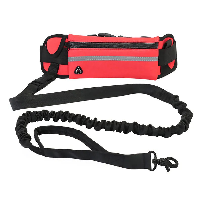 Bungee leash waist belt detail
