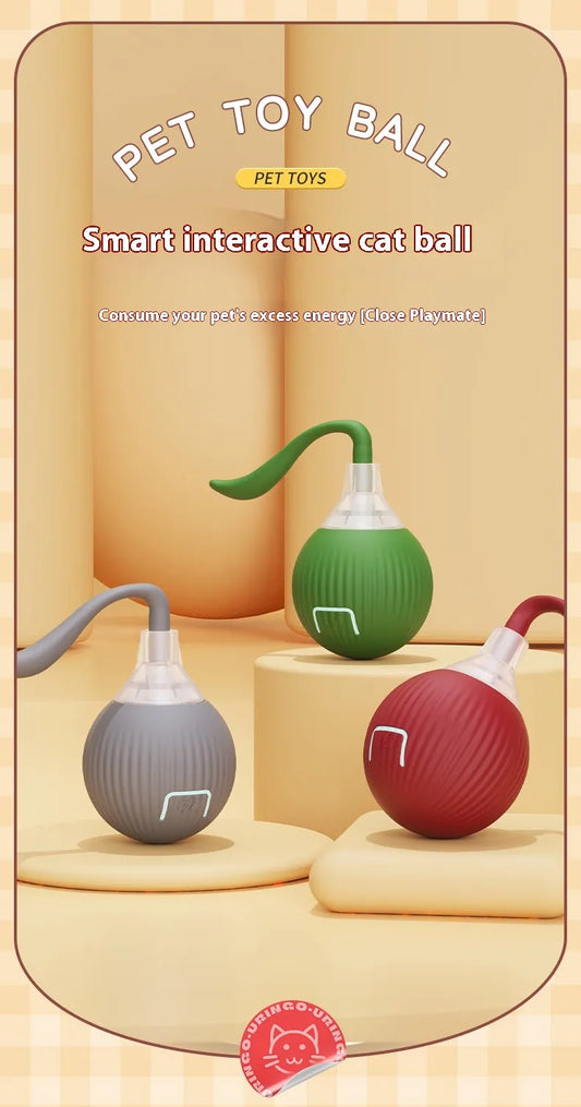 Rolling cat ball toy