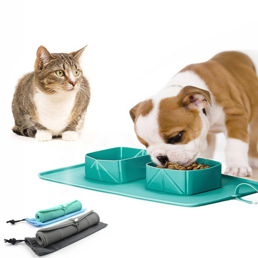 Collapsible Silicone Travel Pet Bowl