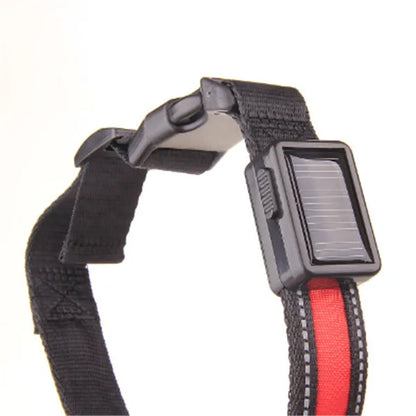 Glow collar detail