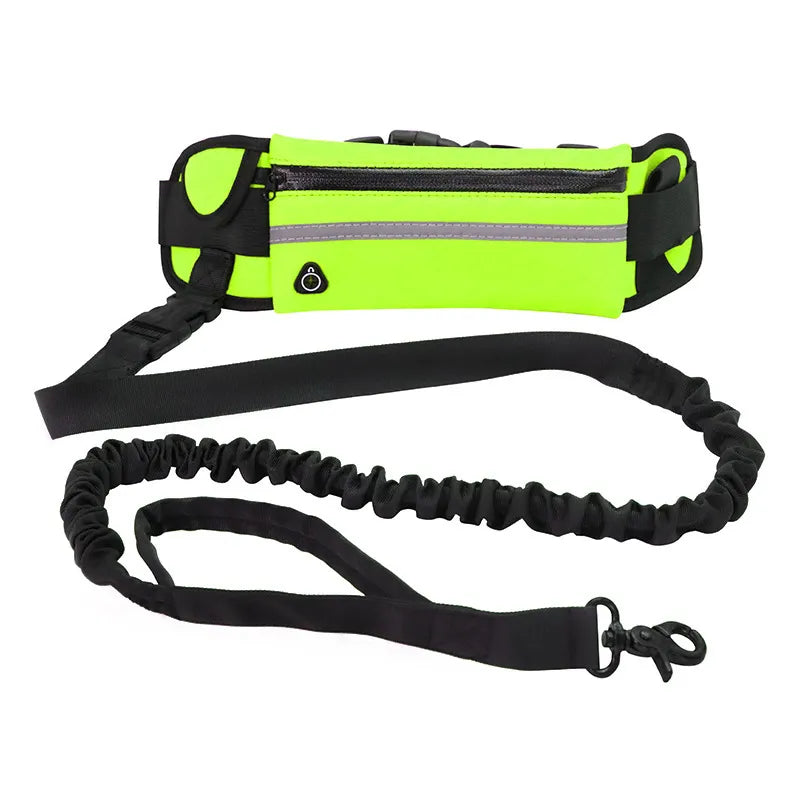 Person walking dog with hands-free leash
