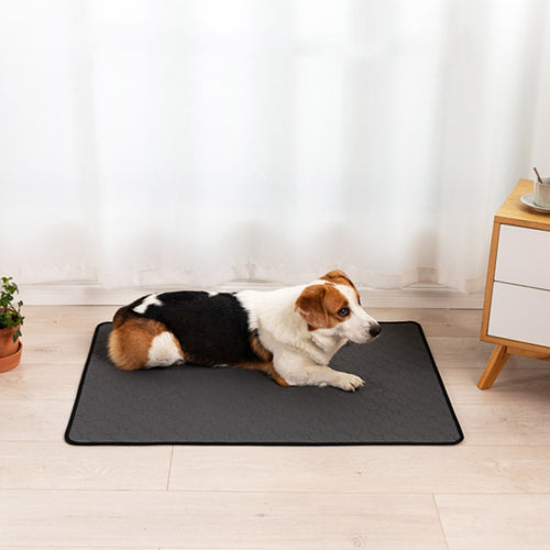 Reusable Washable Pet Training Pad
