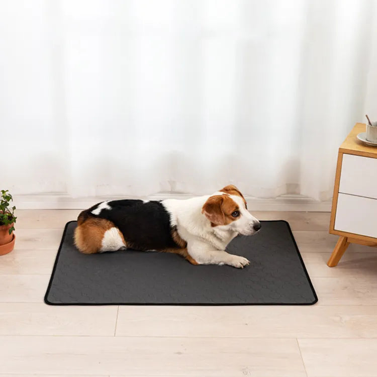 Training pad in use