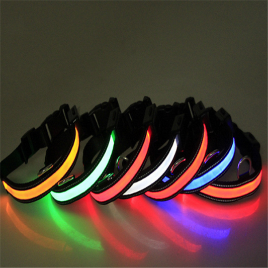 Fluorescent Glow-in-the-Dark Dog Collar