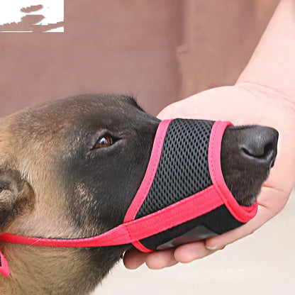 Anti-Scavenging Dog Muzzle