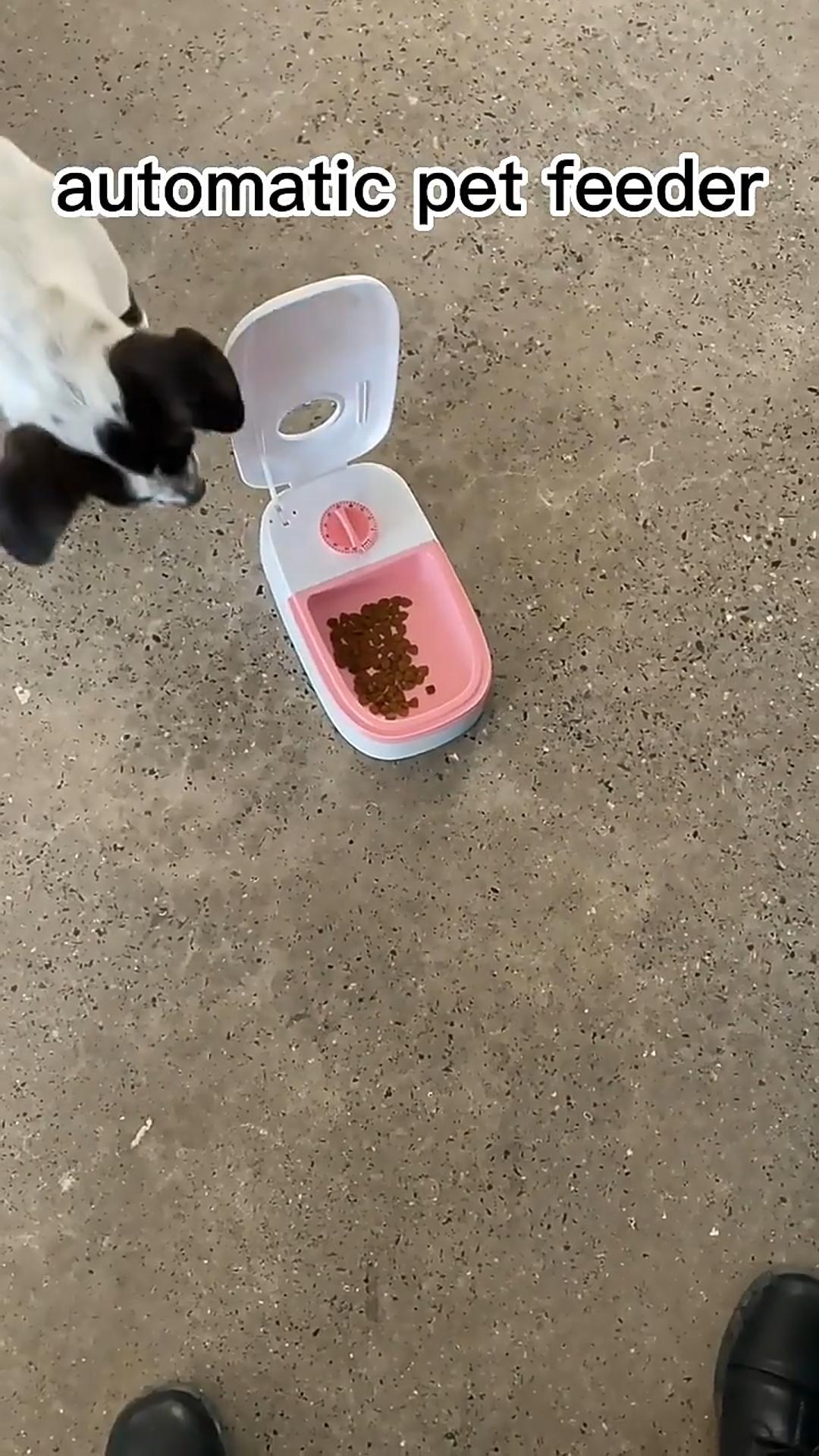 Gravity feeder detail